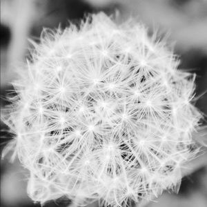 Meet your Posher, Marge